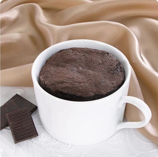 HW Mug cake au chocolat