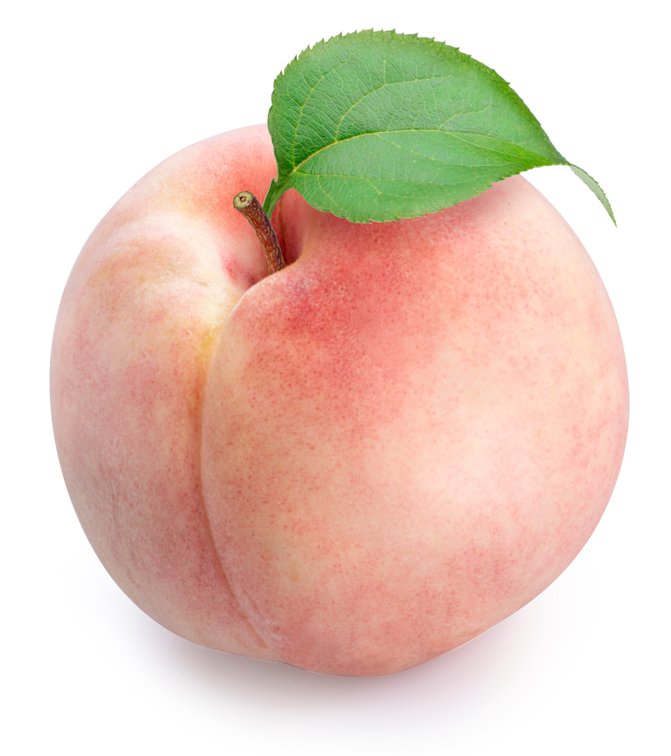 Aromatisant pêche blanche (tx)